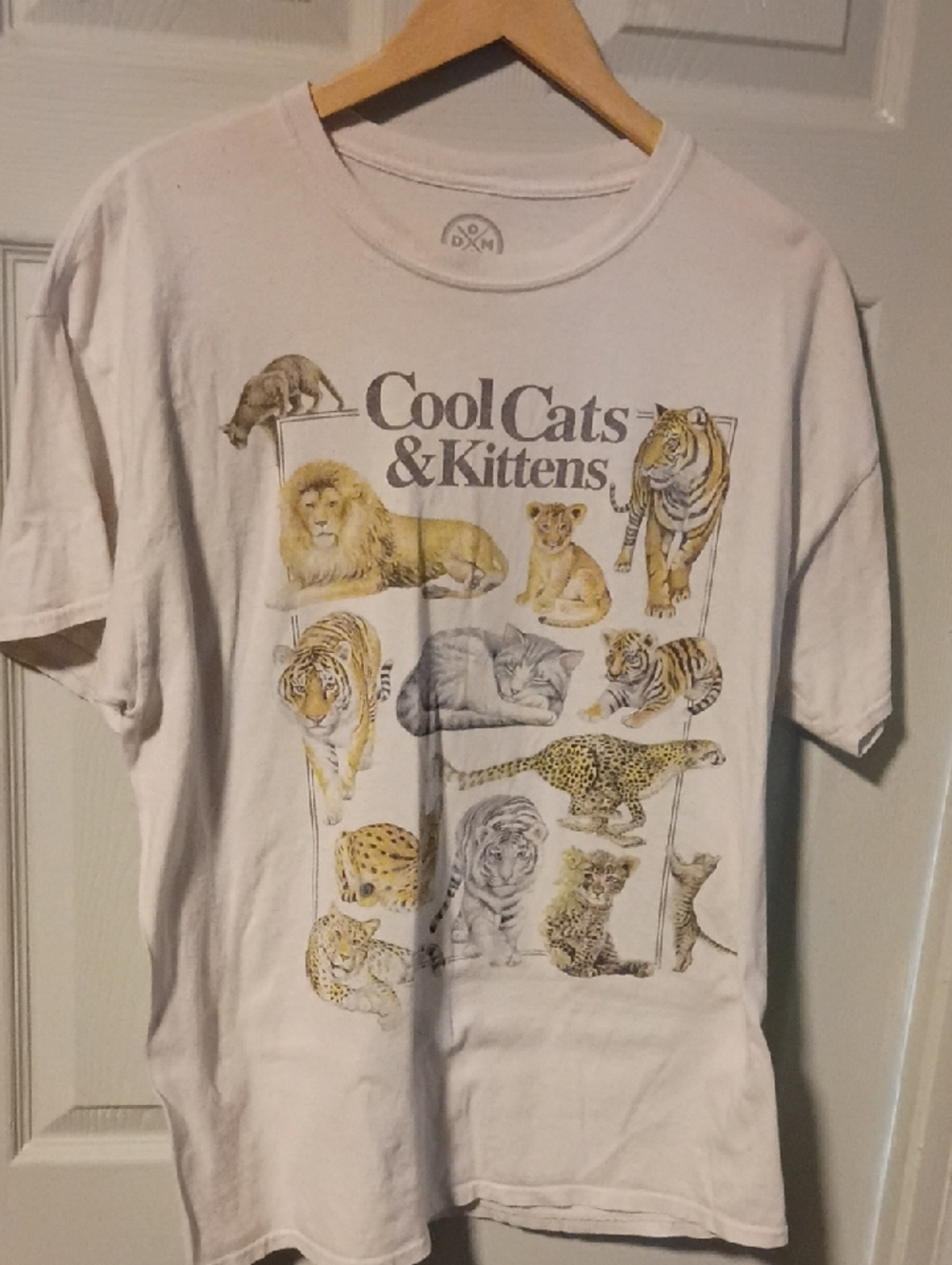 Cool Cats & Kittens Graphic Tee - White